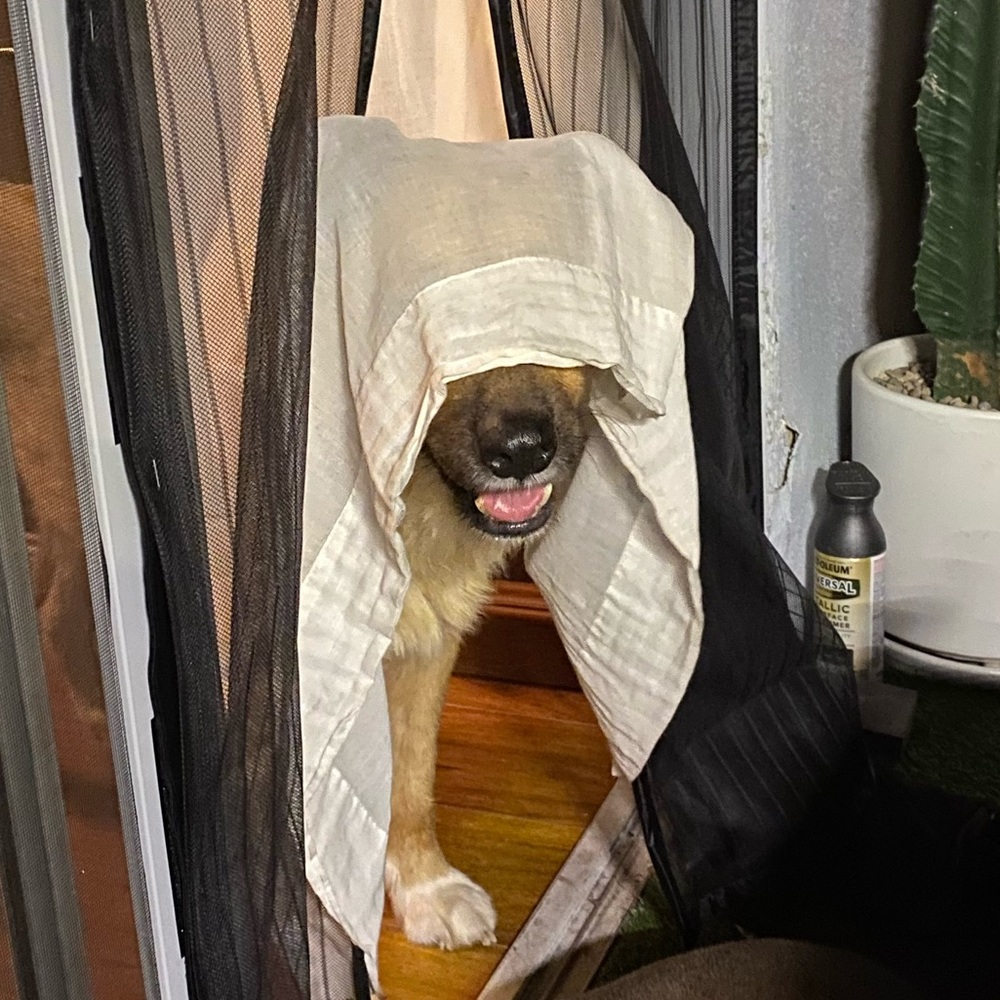 Meet your Posher, Gregory